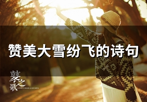 赞美大雪纷飞的诗句(精选49句) 赞美大雪纷飞的诗句(精选49句)