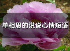 单相思的说说心情短语(57句)