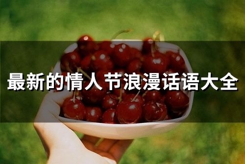 最新的情人节浪漫话语大全(精选74句)