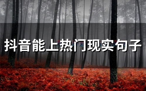 抖音能上热门现实句子(65句) 抖音能上热门现实句子(65句)