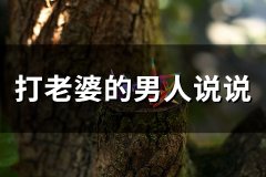打老婆的男人说说(精选45句)