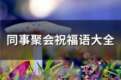 同事聚会祝福语大全(66句)