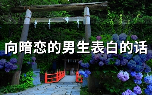 向暗恋的男生表白的话(精选65句)