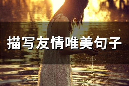 描写友情唯美句子(精选77句)