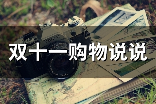 双十一购物说说(精选92句) 双十一购物说说(精选92句)