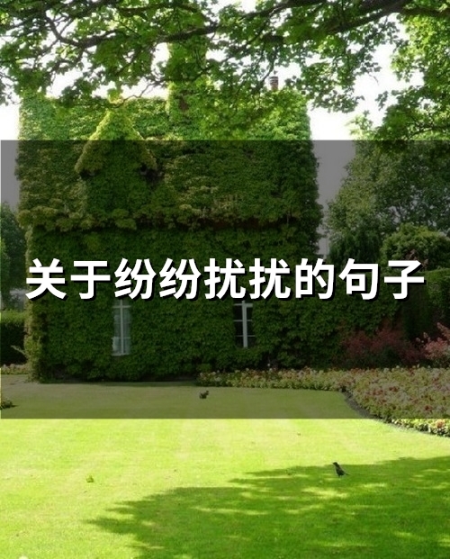 关于纷纷扰扰的句子(精选82句)