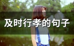 及时行孝的句子(50句)