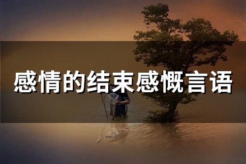 对一段感情的结束心情感慨