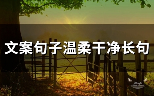文案句子温柔干净长句 文案句子温柔干净阳光 文案句子温柔干净长句 文案句子温柔干净阳光