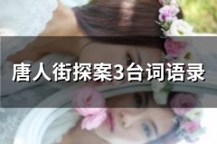 唐人街探案3台词语录 《唐人街探案》三经典台词