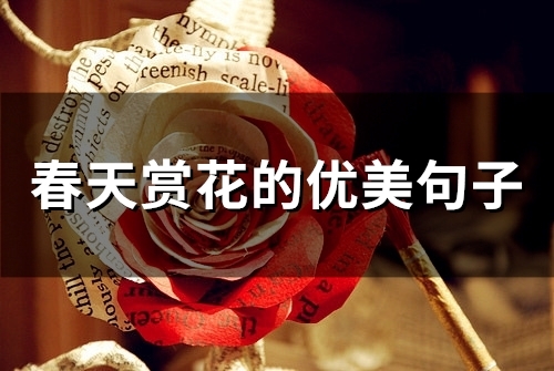 春天赏花的优美句子短句