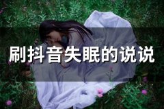 深夜失眠幽默句子说说