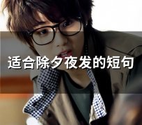 适合除夕夜发的短句文案