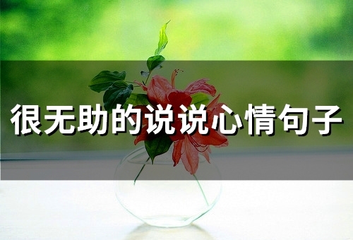 很无助的说说心情句子 万般无奈和心酸的说说