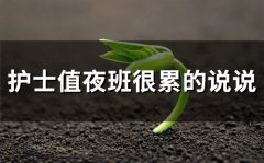 护士值夜班很累的说说(22句)