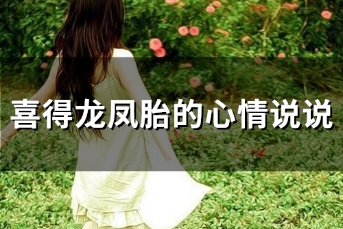 喜得龙凤胎的心情说说(20句) 喜得龙凤胎的心情说说(20句)