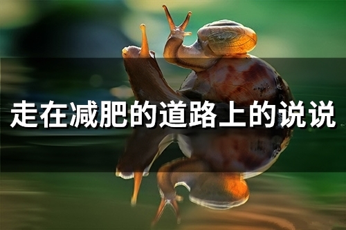 走在减肥的道路上的说说(26句)