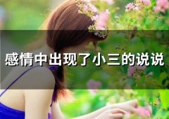 感情中出现了小三的说说(23句)