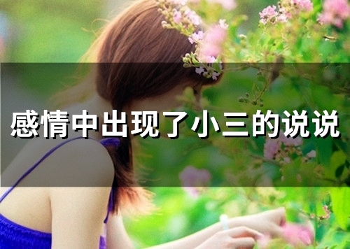 感情中出现了小三的说说(23句)