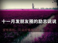十一月发朋友圈的励志说说(精选24句)