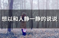 想以和人静一静的说说(24句)