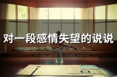 对一段感情失望的说说(26句)