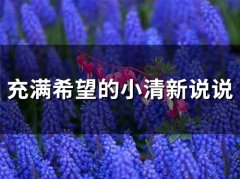 充满希望的小清新说说(25句)