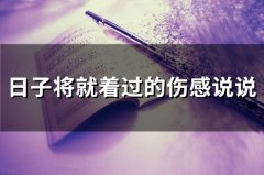 日子将就着过的伤感说说(24句)