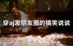 穿aj发朋友圈的搞笑说说(精选22句)