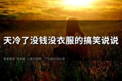 天冷了没钱没衣服的搞笑说说(26句)