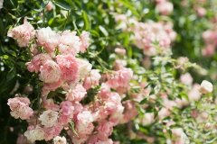 不必取悦他人的语录说说(精选39句)