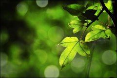 结婚一周年的说说(精选83句)