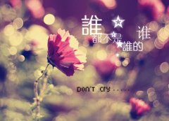 最美的风景说说心情(精选63句)