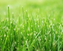 经典非主流的幸福签名(精选63个)