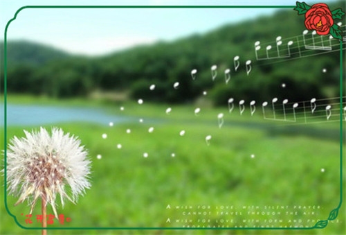 抖音超赞的说说(精选99句) 抖音超赞的说说(精选99句)