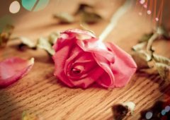 早安语录话俏皮说说(70句)