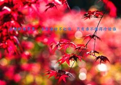2023年最受欢迎的个性说说(精选72句)