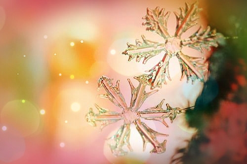 小满节气刚过的句子说说(精选82句) 小满节气刚过的句子说说(精选82句)