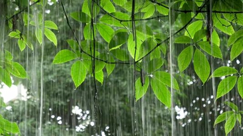 带有诗意的雨中说说(精选96句)