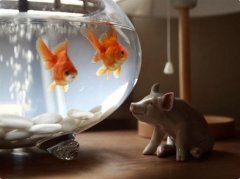 一个人真无助的伤感说说(精选32句)