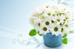 情人节霸气说说(40句)