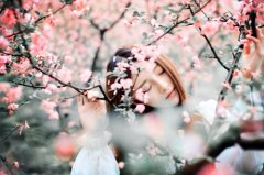 朋友圈高考倒计时励志说说(90句)