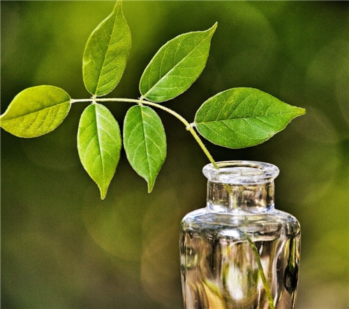 适合女生深夜发的说说(精选62句) 适合女生深夜发的说说(精选62句)