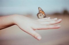 让男生心疼的个性说说(93句)