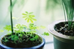 甜蜜爱情爱的网名大全(精选74个)