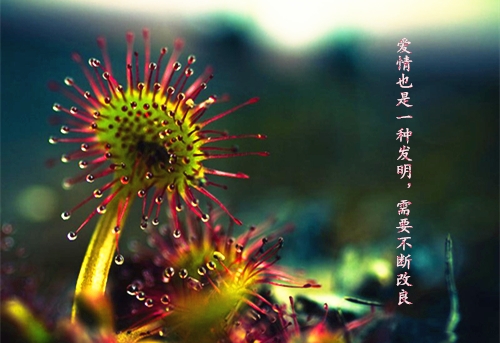 夜深外面下着雨的说说(精选89句)