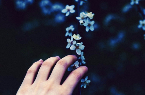 适合4月初发朋友圈的说说句子(51句)