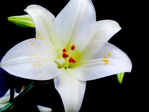 个性的生日朋友圈短句(53句) 个性的生日朋友圈短句(53句)