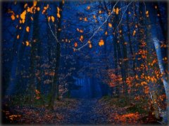 主播朋友圈伤感说说句子(67句)