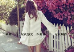 新年的第一天怎么发说说句子(精选68句)